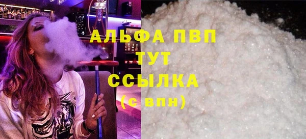 гидра Вязьма